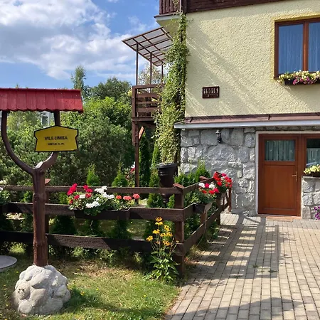 Guest house Limba 3*
